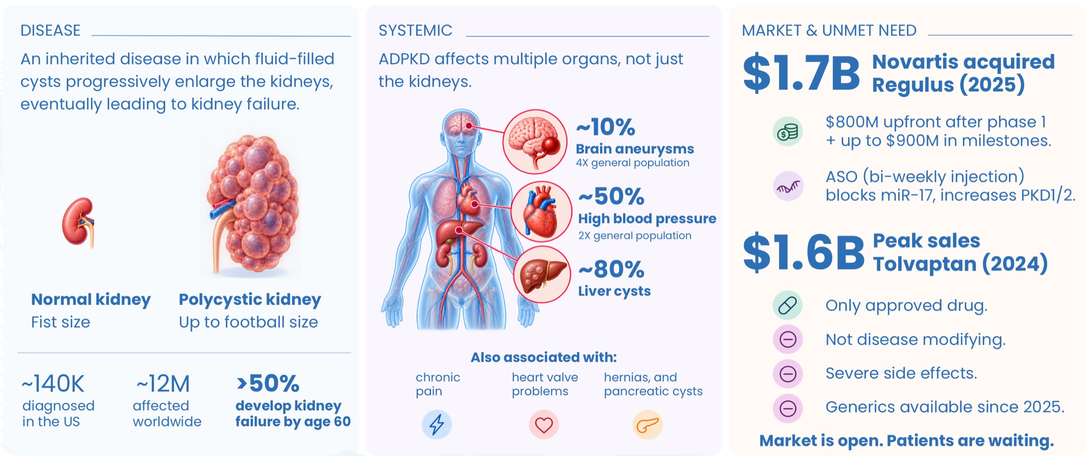 ADPKD at a glance. Disease: an inherited disease in which fluid-filled cysts progressively enlarge the kidneys, eventually leading to kidney failure. A normal kidney is fist size; a polycystic kidney grows up to football size. About 140K diagnosed in the US, about 12M affected worldwide, and over 50% develop kidney failure by age 60. Systemic: ADPKD affects multiple organs, not just the kidneys. About 10% have brain aneurysms (4X the general population), about 50% high blood pressure (2X the general population), and about 80% liver cysts. Also associated with chronic pain, heart valve problems, hernias, and pancreatic cysts. Market and unmet need: Novartis acquired Regulus for $1.7B (2025): $800M upfront after phase 1 plus up to $900M in milestones, for an ASO (bi-weekly injection) that blocks miR-17 and increases PKD1/2. Tolvaptan peak sales were $1.6B (2024). It is the only approved drug, it is not disease modifying, it has severe side effects, and generics have been available since 2025. Market is open. Patients are waiting.