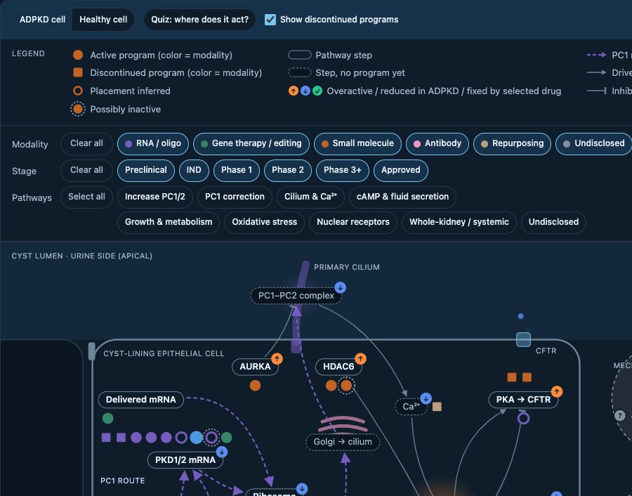 Preview of Cell Map